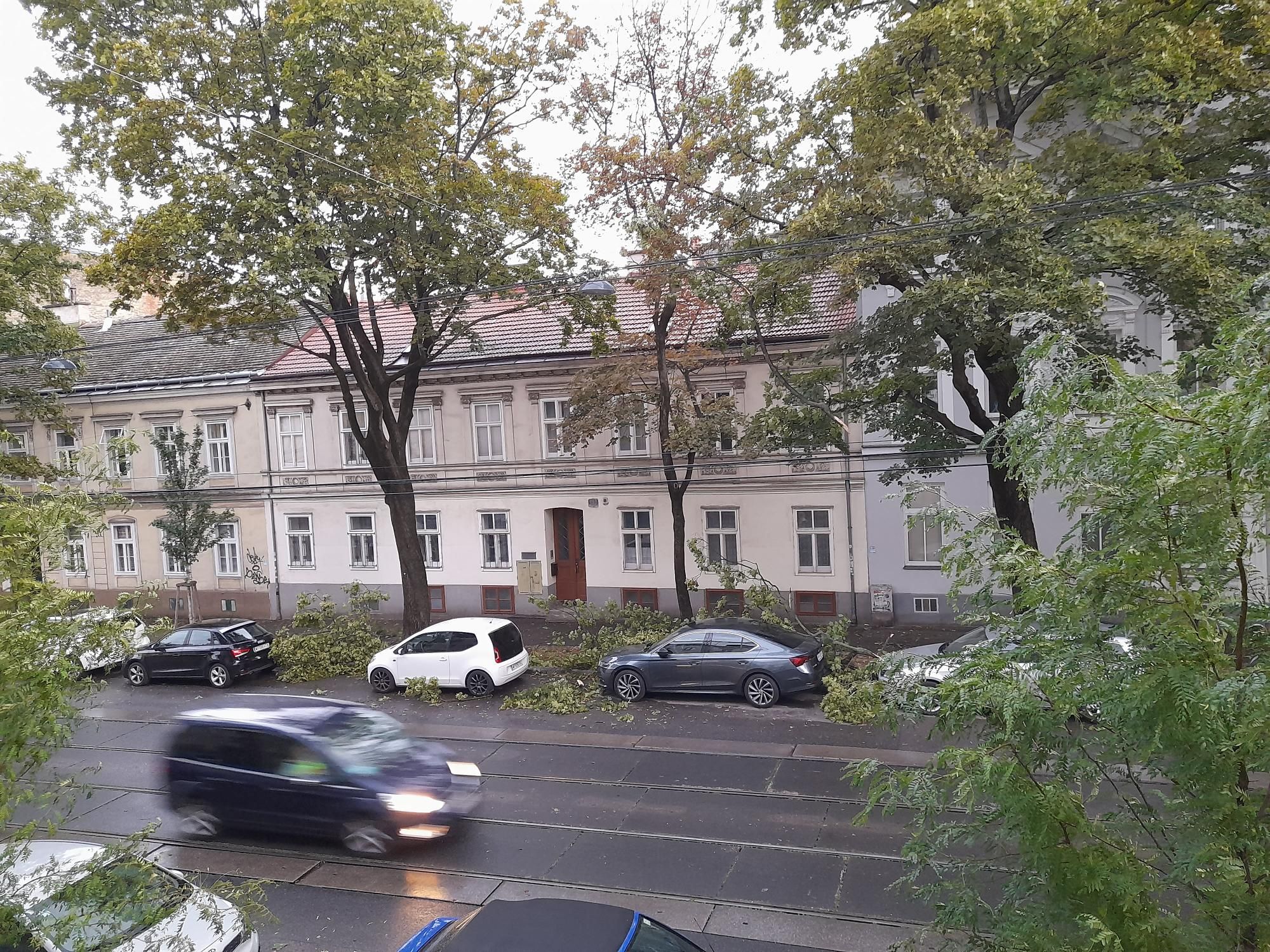 In Penzing fegte der nächtliche Sturm mehrere große Äste zu Boden.