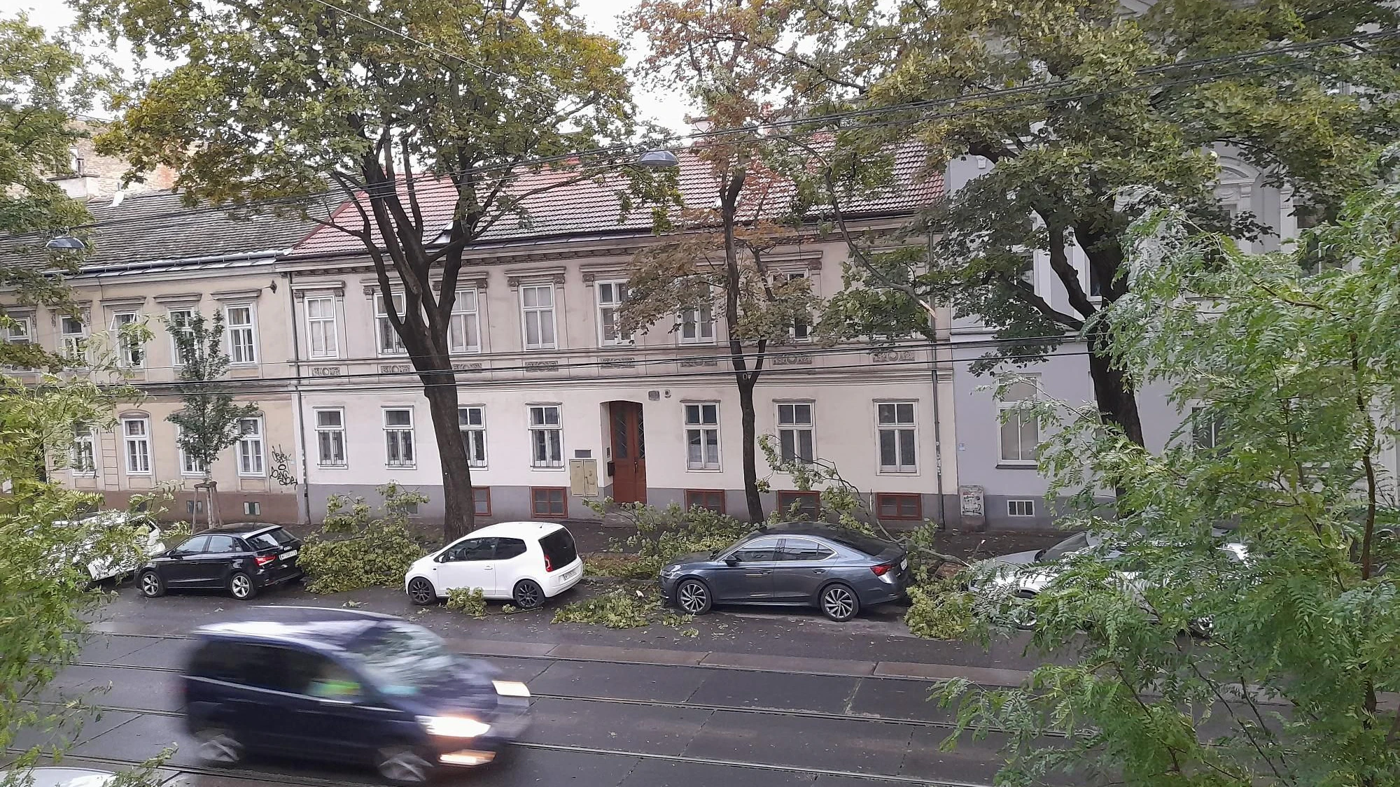 In Penzing fegte der nächtliche Sturm mehrere große Äste zu Boden.