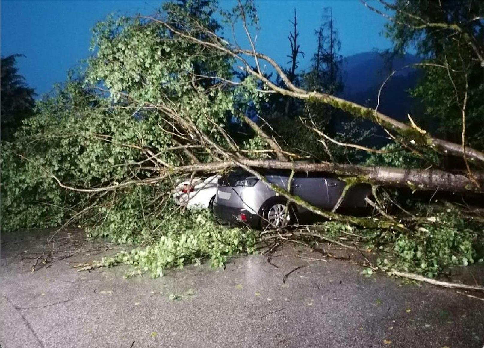 In Finkenberg beschädigte ein unwetterbedingt umgestürzter Baum drei Fahrzeuge schwer. 