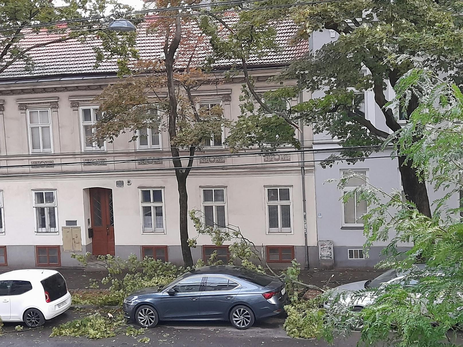 In Wien-Penzing krachte während des Gewitters ein Baum auf parkende Autos