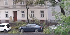 Diese Schäden richtete der 113 km/h-Sturm in Wien an