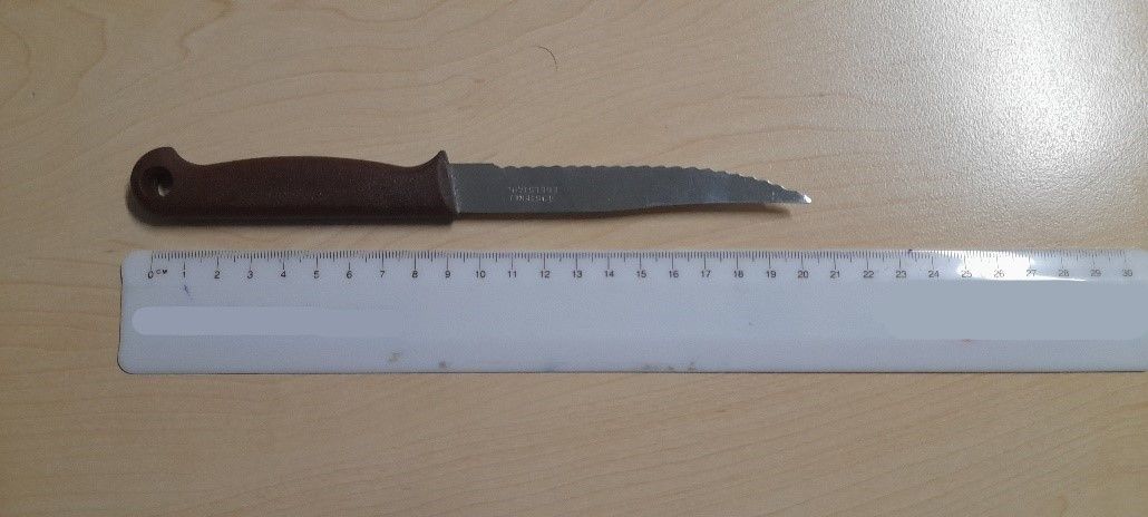 Mit diesem Messer bedrohte ein 58-Jähriger am Westbahnhof ÖBB-Sicherheitsmitarbeiter.