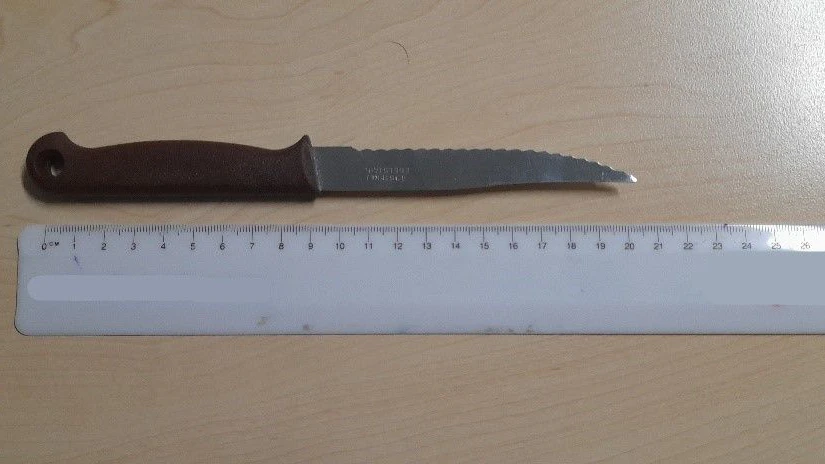 Mann bedrohte ÖBB-Sicherheitsmitarbeiter mit einem Messer