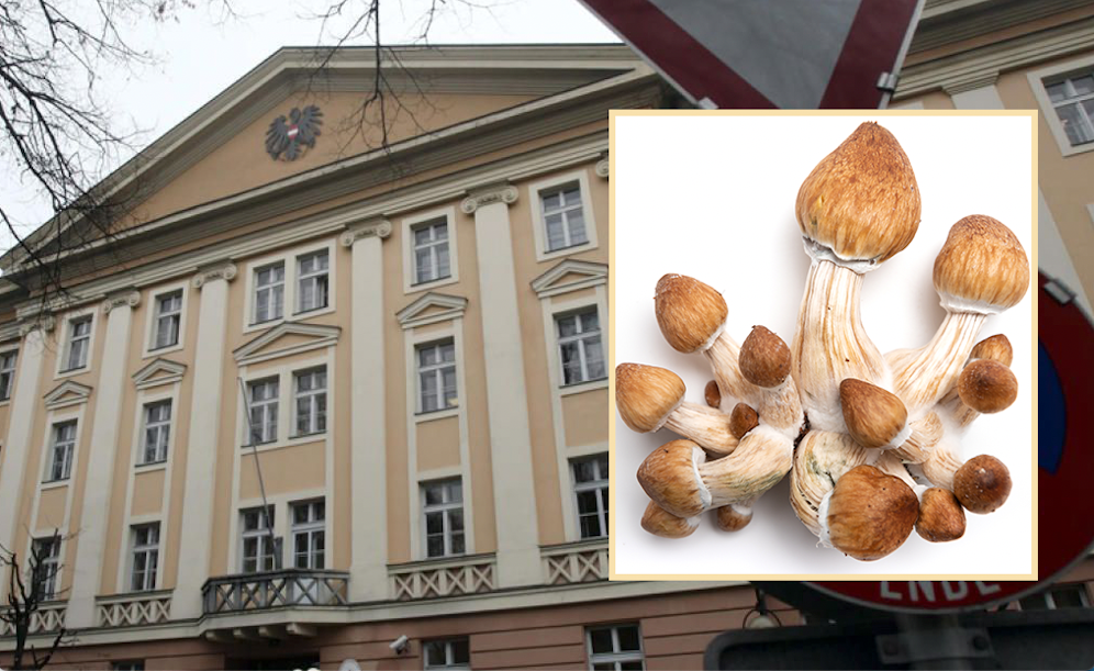 Mordprozess am Landesgericht Klagenfurt um Magic Mushrooms