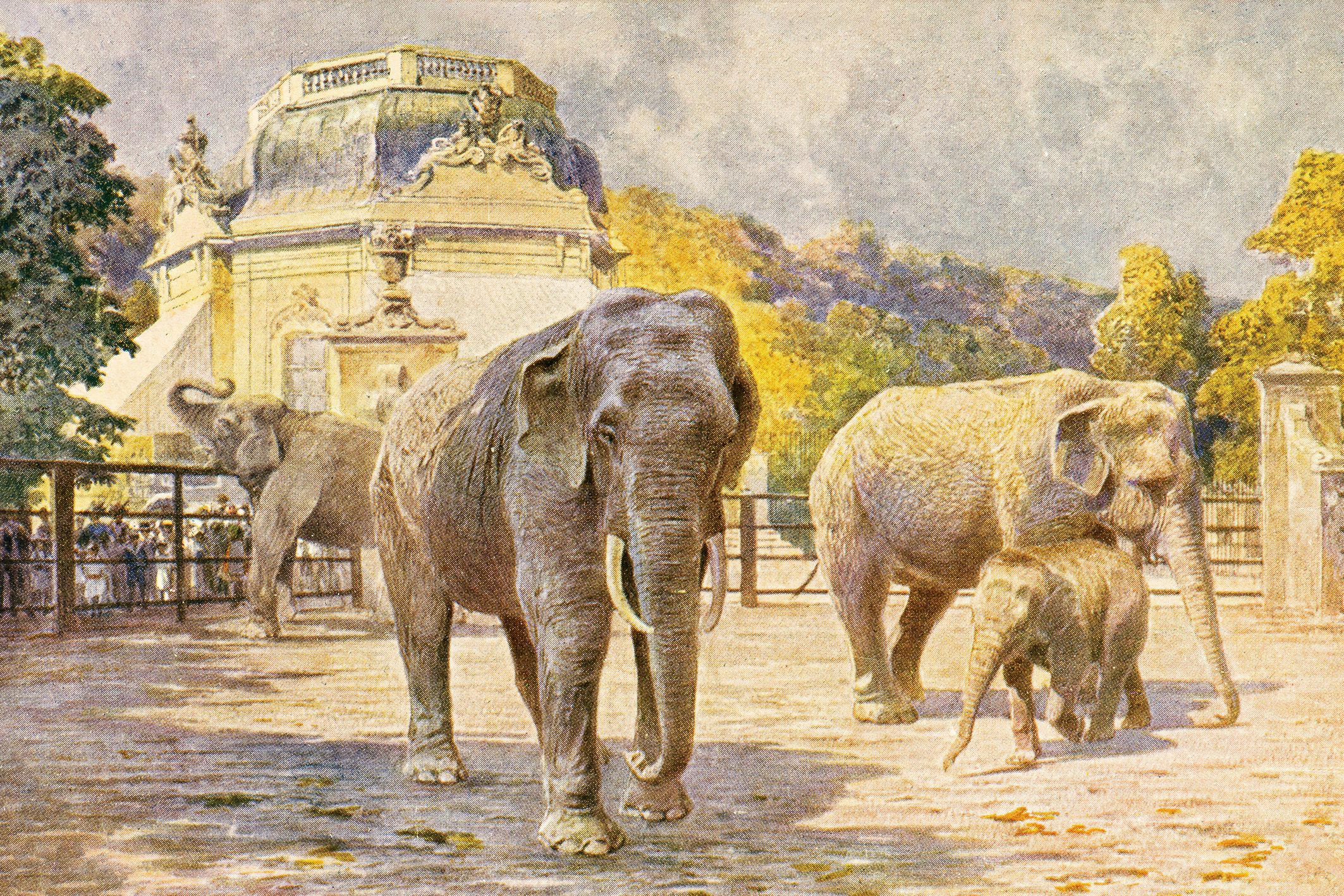 Dieses Bild stammt noch aus einer historischen Zeit. 