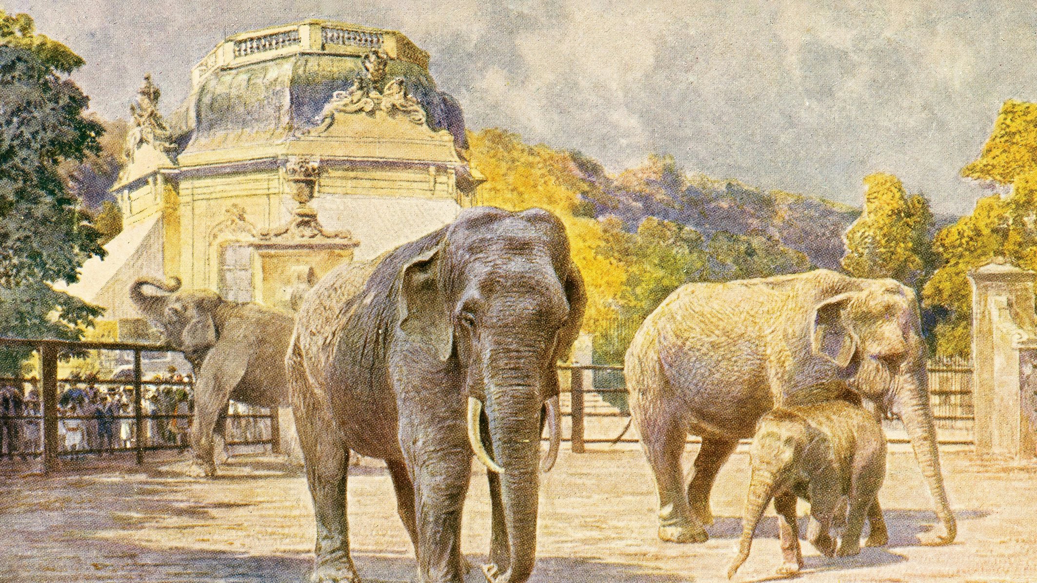 Dieses Bild stammt noch aus einer historischen Zeit. 