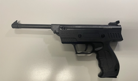 Diese Waffen wurden in der Wohnung des Mannes sichergestellt.