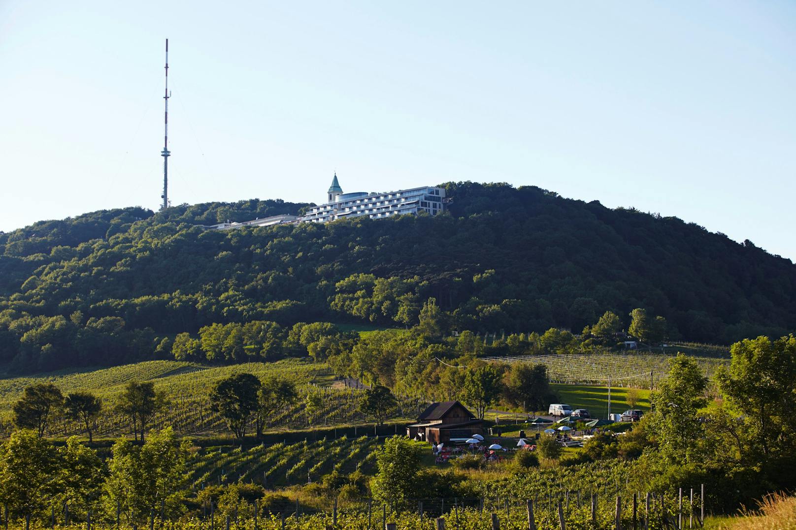 Blick auf den Kahlenberg samt seinem&nbsp;165 Meter hohen Sendeturm.