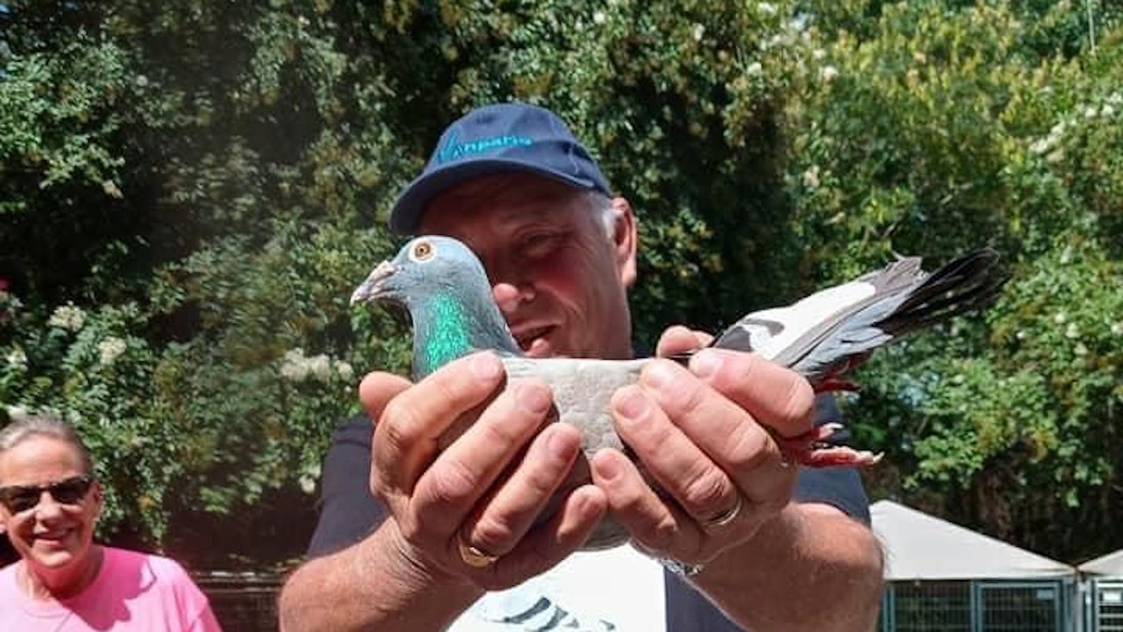 Alan Todd hat seine geliebte Taube Bob wieder.