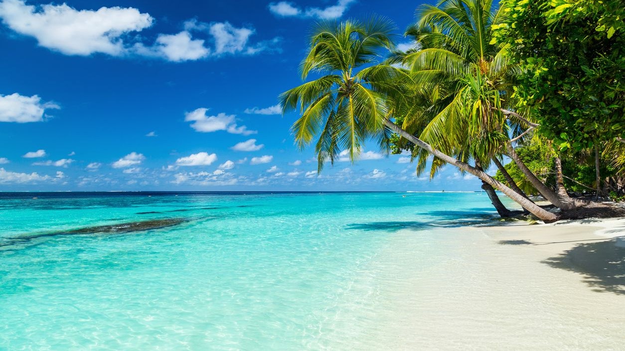 Die Malediven zählen zu den schönsten Plätzen der Welt.