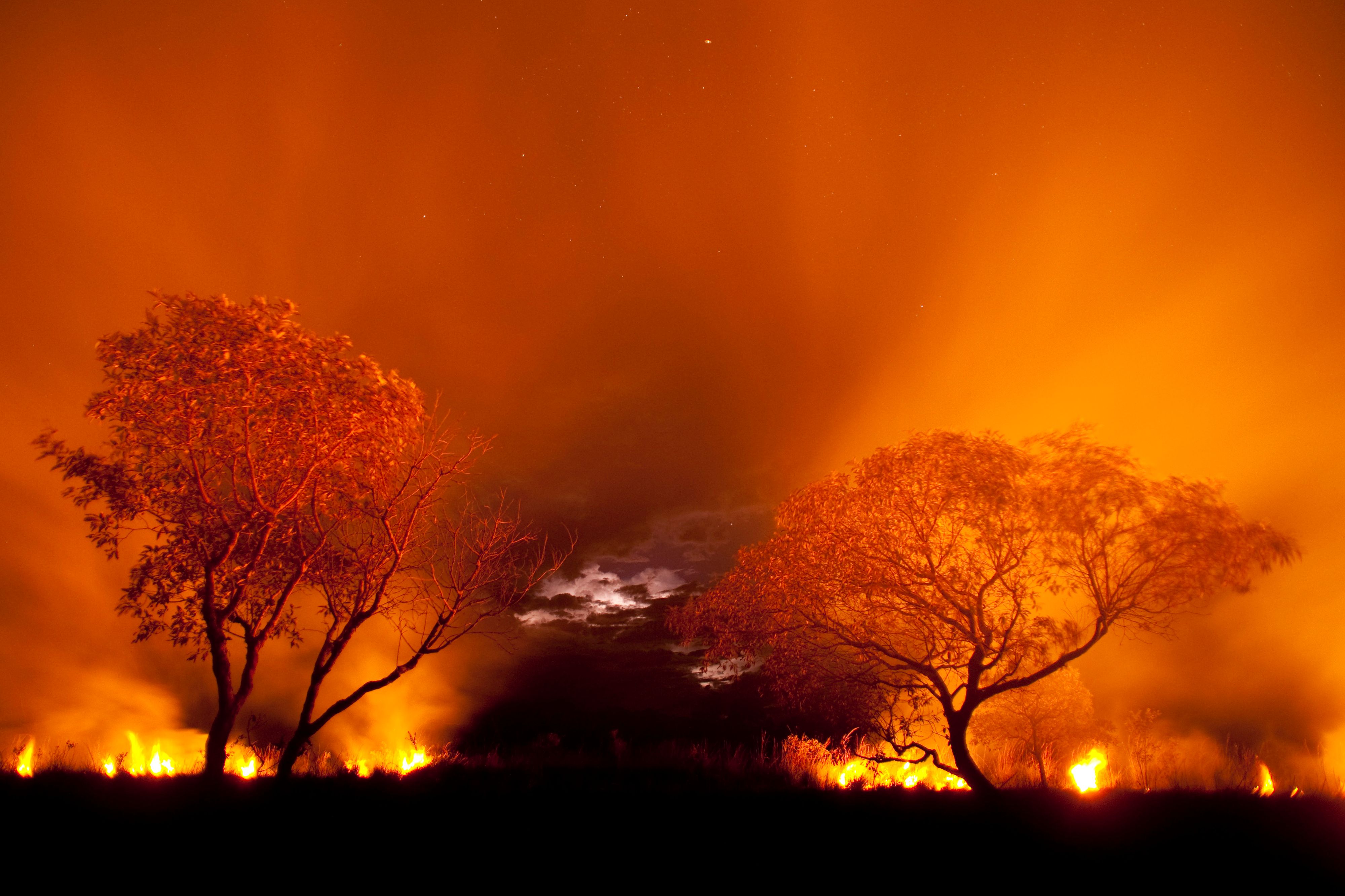 Feuer im Pantanal (Brasilien). Um Grasflächen für die Viehwirtschaft zu gewinnen, werden oft illegale Feuer gelegt.