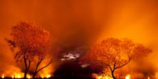 Brasilien – Satellit meldet mehr Waldbrände im Amazonas