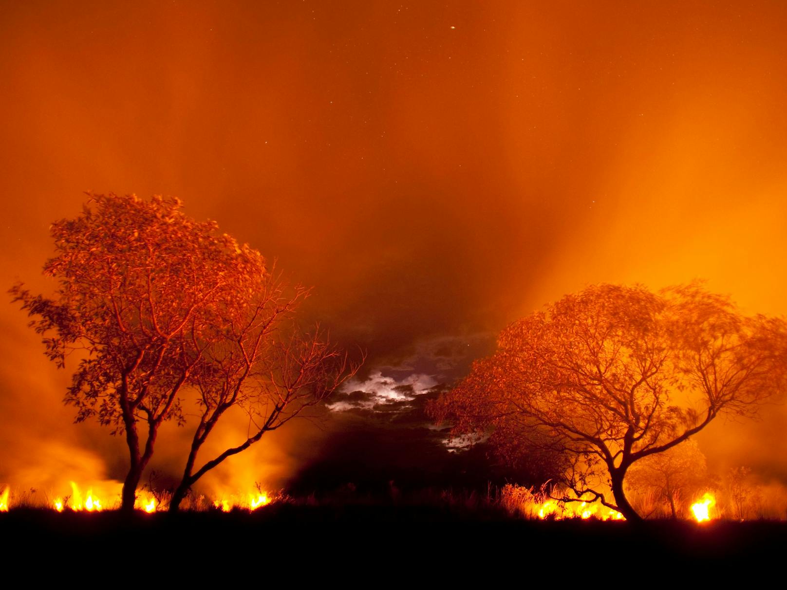 Feuer im Pantanal (Brasilien). Um Grasflächen für die Viehwirtschaft zu gewinnen, werden oft illegale Feuer gelegt.