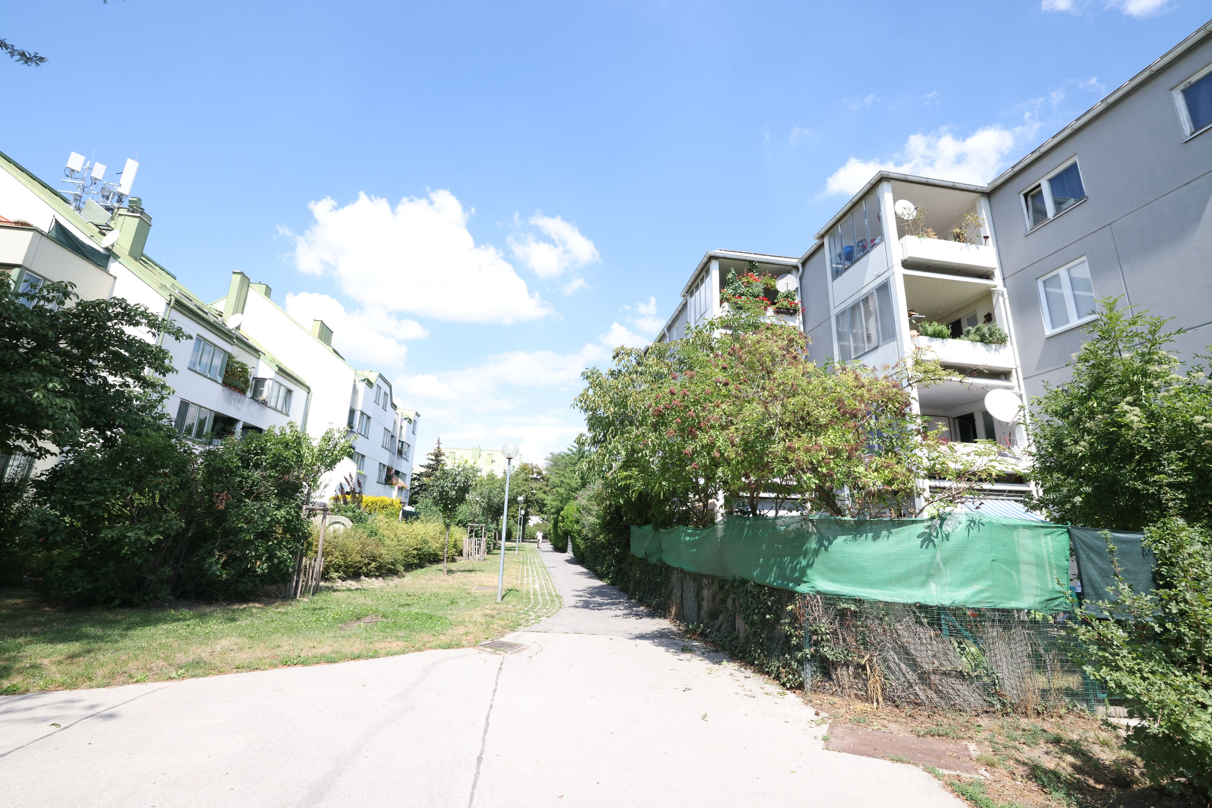 Der Gemeindebau in der Wiener Donaustadt hat 105 Mietergärten und zig begrünte Balkone. Biotonnen bekommt der Bau aber nicht, weil Wiener Wohnen und MA48 sich nicht einig sind, wer zuständig ist.