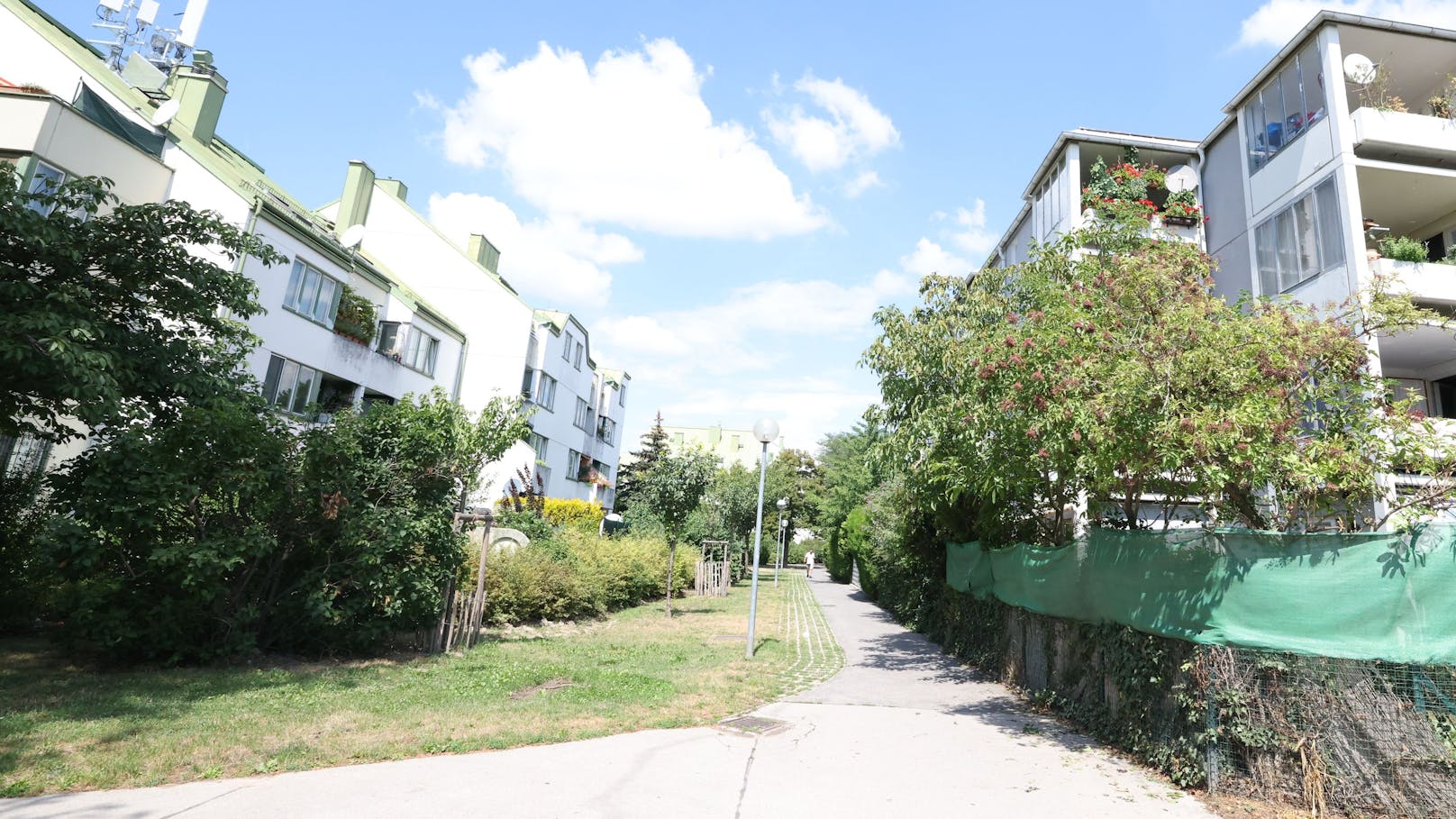 Der Gemeindebau in der Wiener Donaustadt hat 105 Mietergärten und zig begrünte Balkone. Biotonnen bekommt der Bau aber nicht, weil Wiener Wohnen und MA48 sich nicht einig sind, wer zuständig ist.