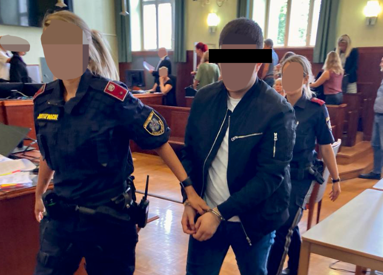 Stallbursche (18) vor Gericht in Korneuburg.