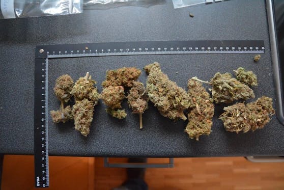 Es konnten Cannabisprodukte mit mehr als 173 Gramm, sowie 30 Cannabispflanzen und diverse Suchtgiftutensilien sichergestellt werden.