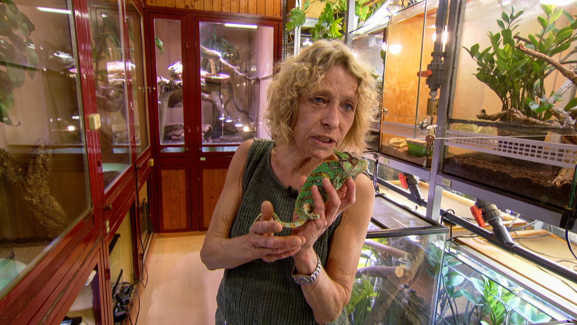 Tierpflegerin Judith mit Chamäleon