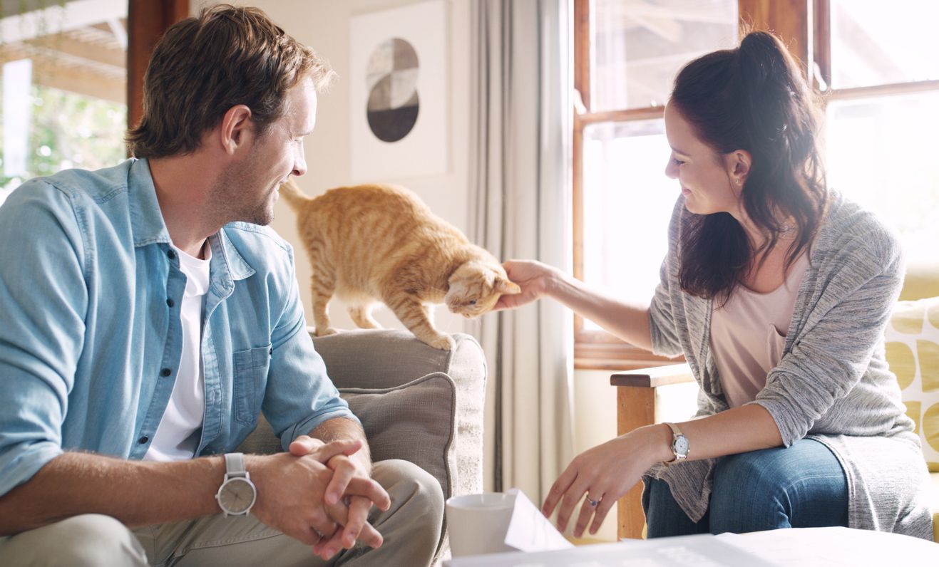 Cropped shot of an affectionate young woman petting her cat while sitting with her husband in their living room