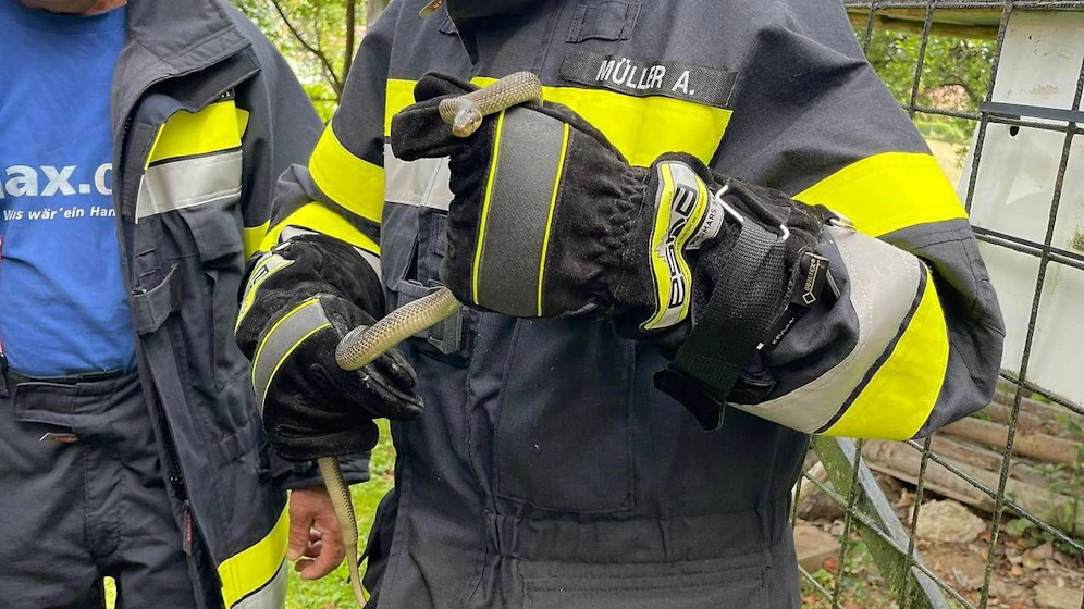 Die Freiwillige Feuerwehr rückte aus, barg die Schlange und löschte den Brand.