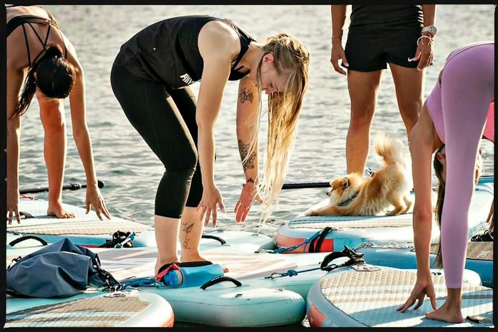 Selbst der Spitz ist spitz auf Wasser-Yoga.