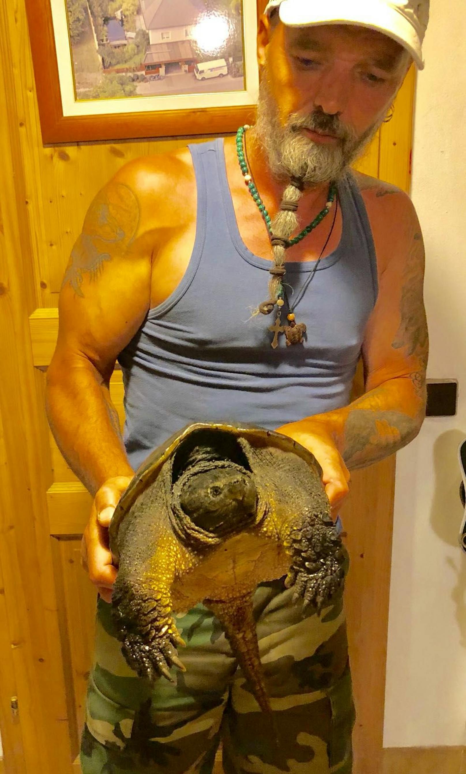 Vorsicht bissig! Schnapp-Schildkröten-Invasion in NÖ