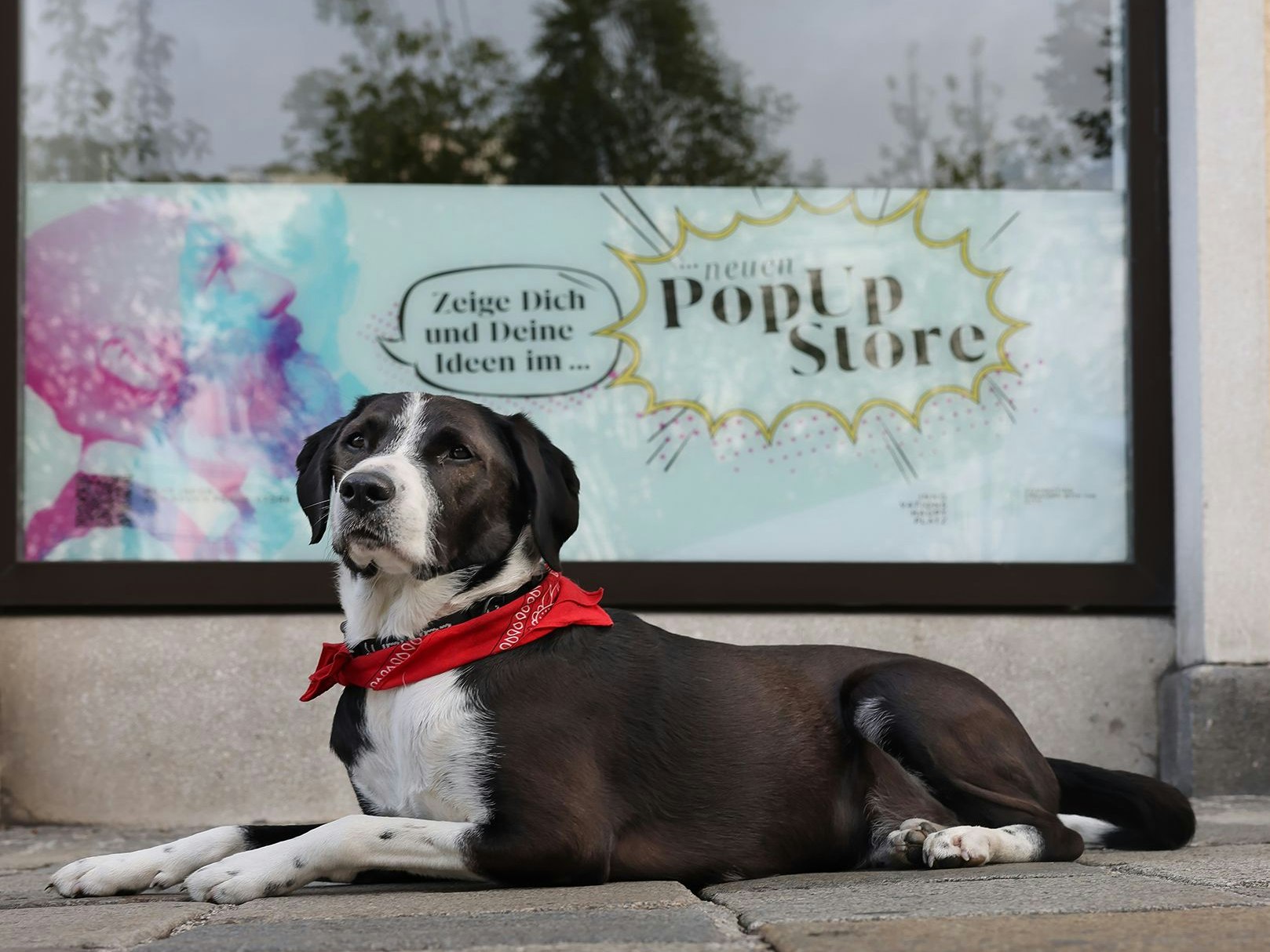 Am Donnerstag steigt ab 17 Uhr die Eröffnungsfeier.
