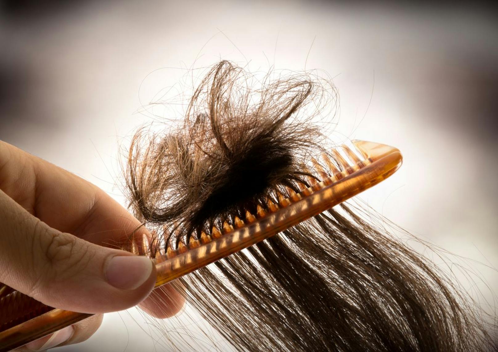 Wenn dir deine Haare bis zur Schulter reichen, ist es wichtig, dass du deiner Länge ordentlich Aufmerksamkeit schenkst. Besonders wenn sie nass sind neigen die Haare dazu mehr zu brechen. Entknote deine Strähnen mit Vorsicht, wenn du feines Haar hast.