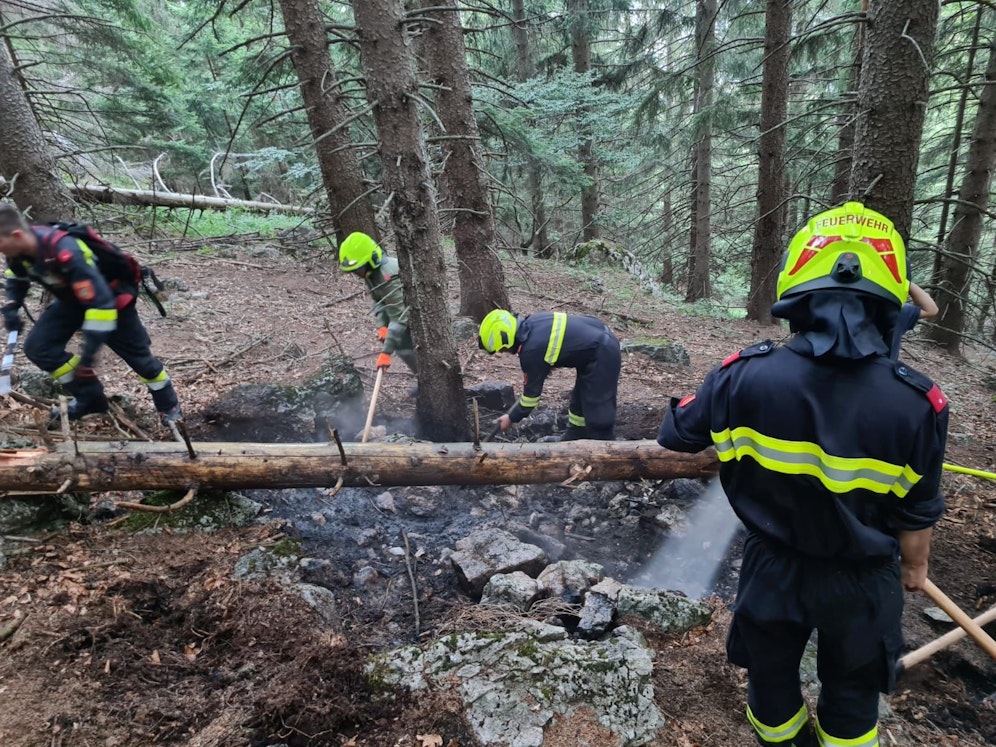 Die Feuerwehr löschte den entstehenden Waldbrand ab.