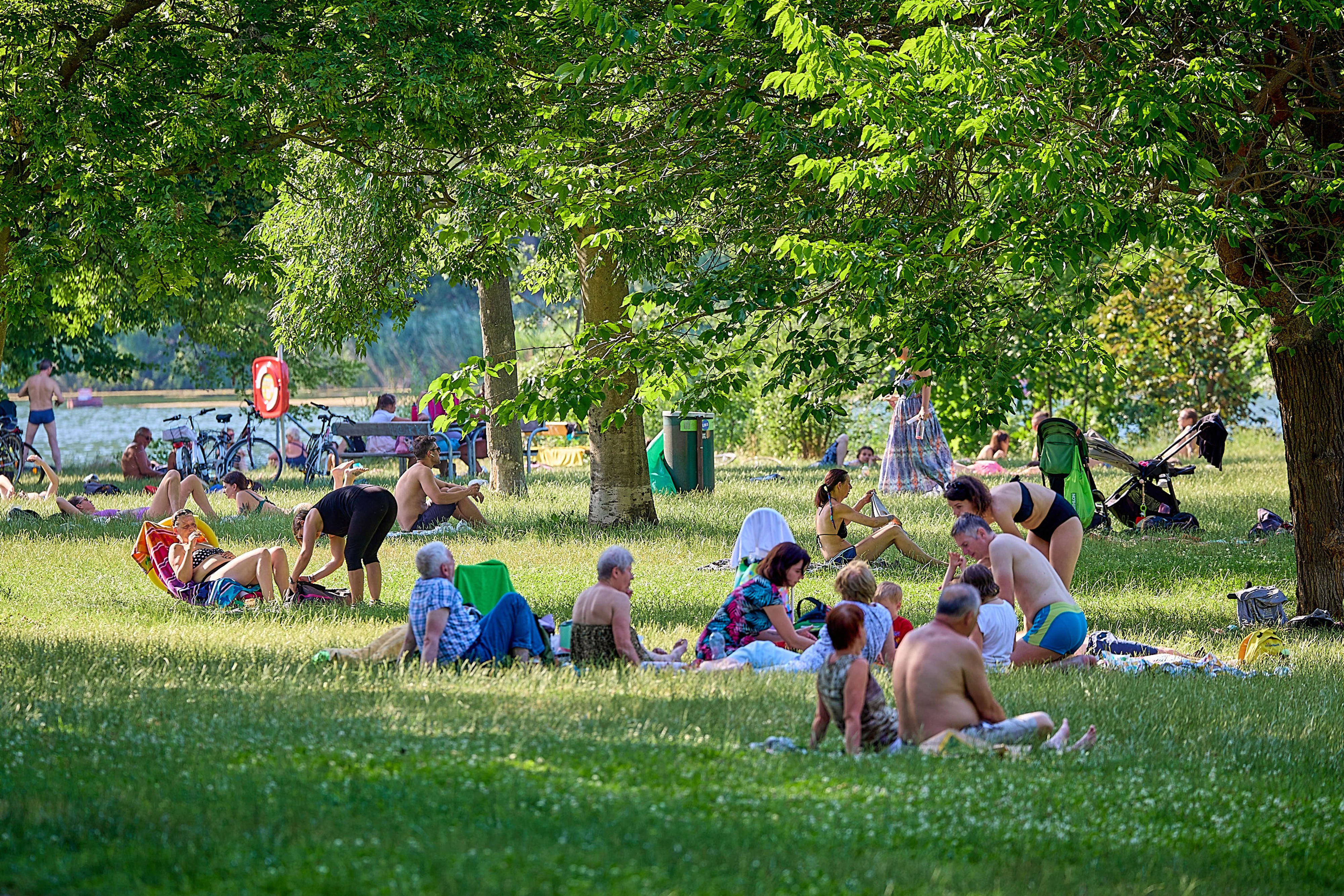 Sonnenanbeter an der Alten Donau in Wien. Symbolbild