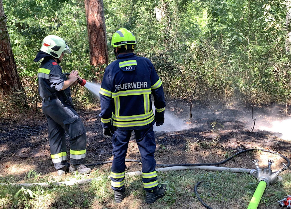 Die Feuerwehr konnte den Brand rasch löschen.