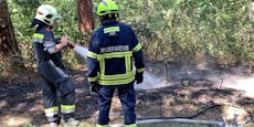Feuerwehr verhindert Waldbrand in Lindabrunn