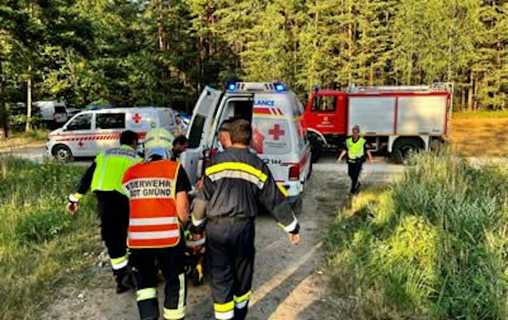 Die verletzte Person wurde mit dem Rettungshubschrauber weggeflogen.