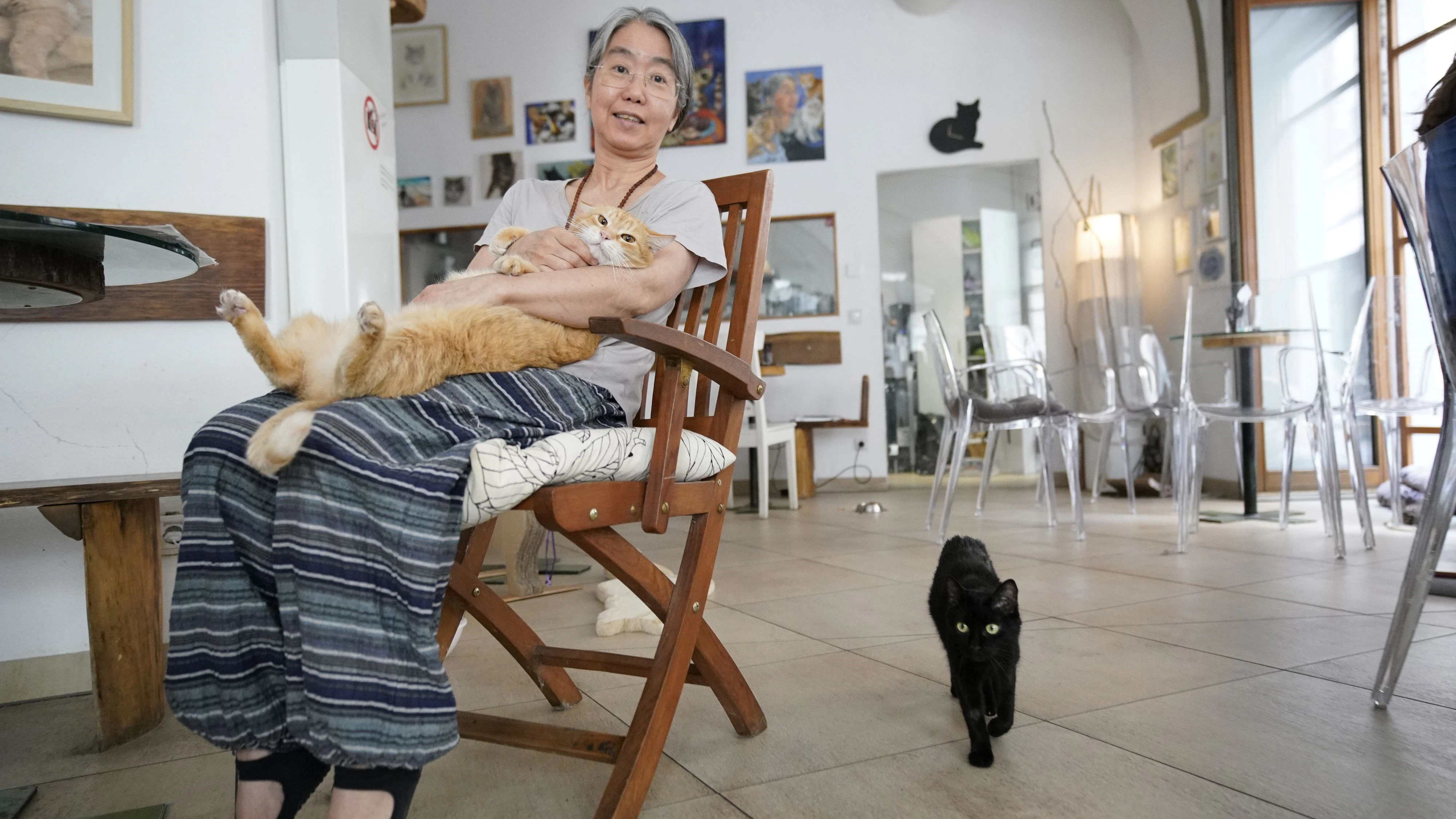 Heute.at - Miau! Wiener Katzen-Café hebt nun Kinderverbot auf