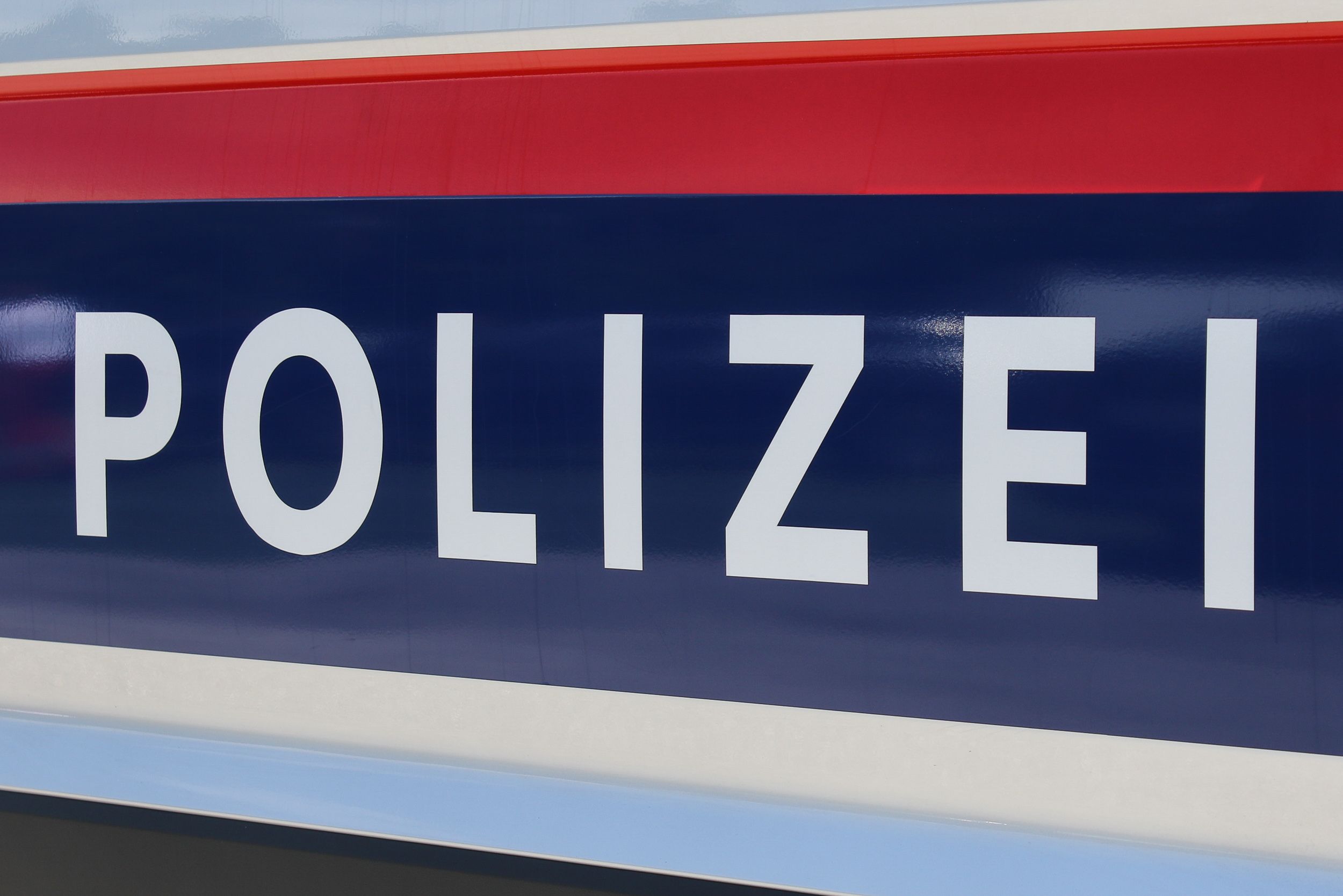 Die Polizei verhaftete den mutmaßlichen Schläger. 