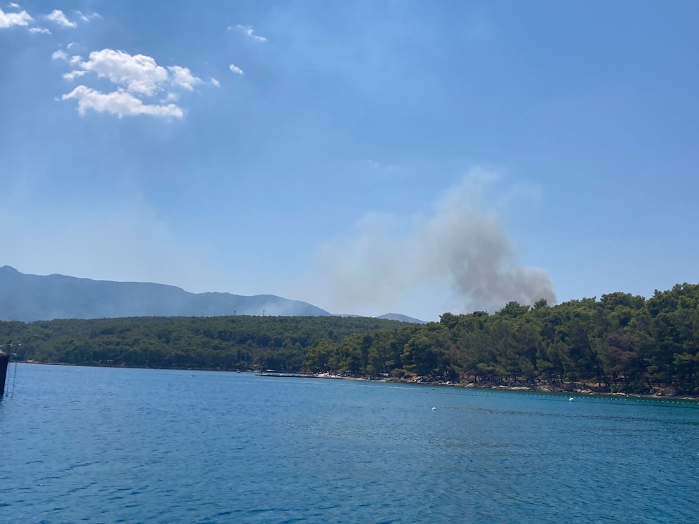 Dichter, dunkler Rauchwolken kommen aus dem Wald.
