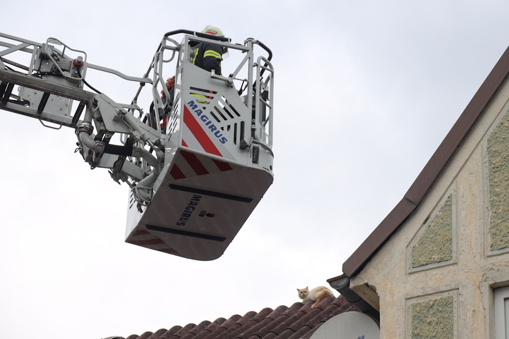 Die Feuerwehr rettete 