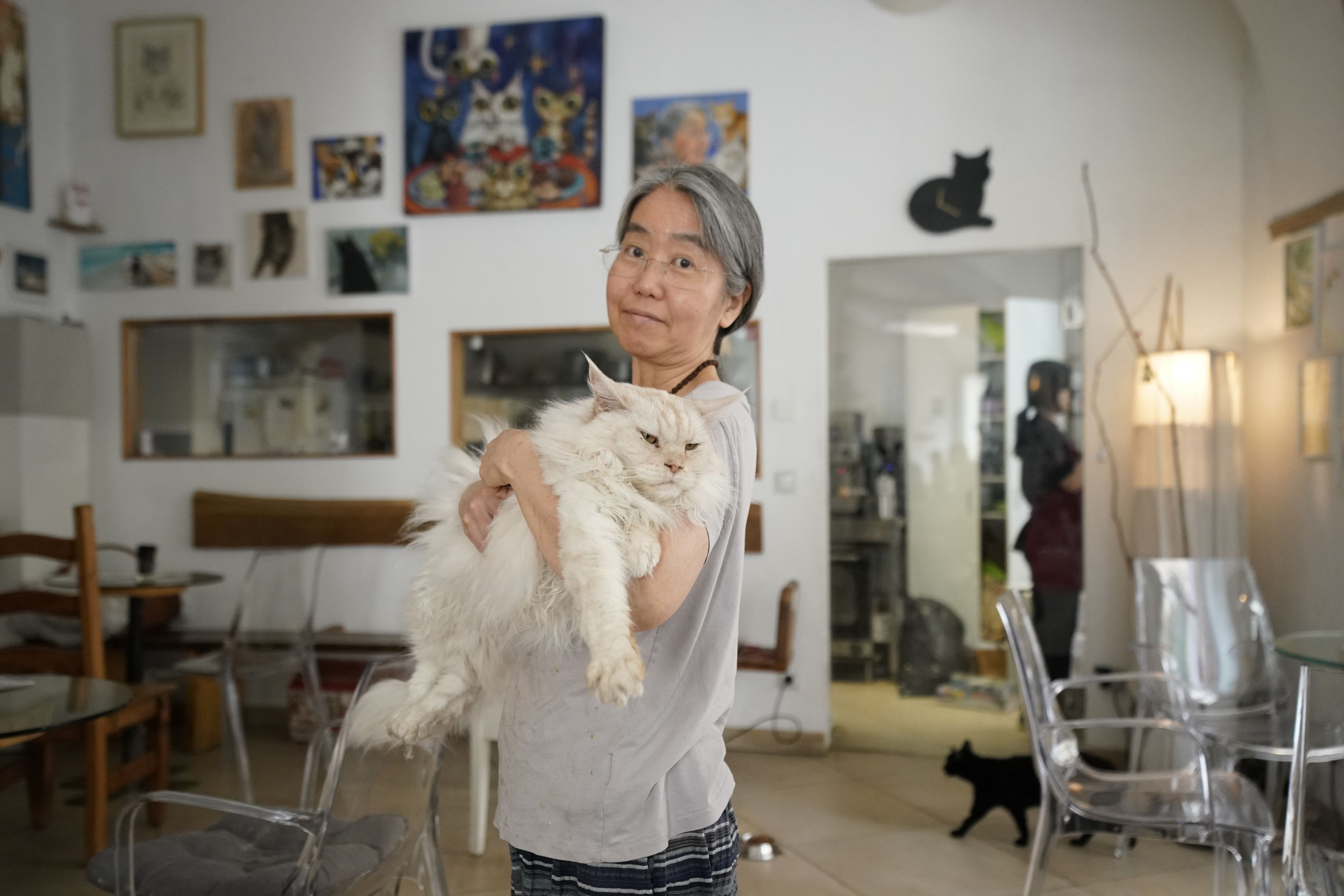 Aus dem Tiefschlaf geholt: Kater Luca (11) mit Frauchen Takako Ishimitsu (58) im Katzencafé Neko