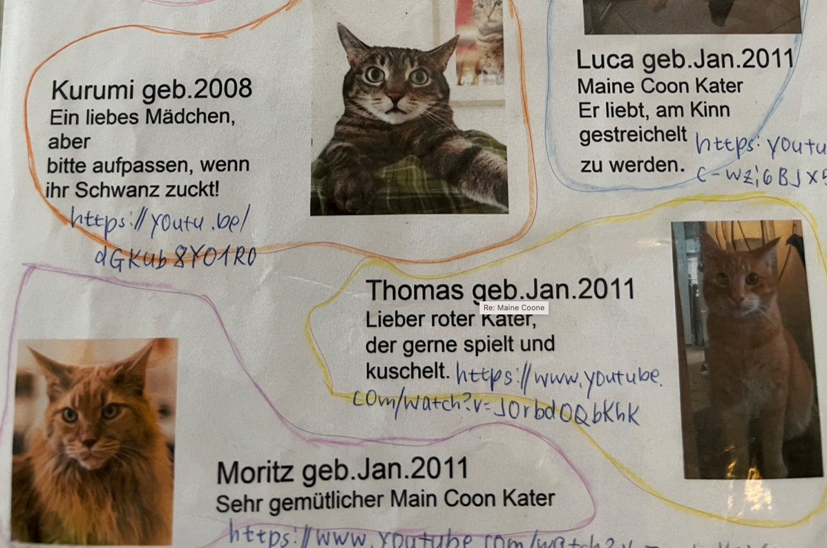 Kurumi, Luca, Thomas, Moritz – langjährige Mitarbeiter im Café Neko