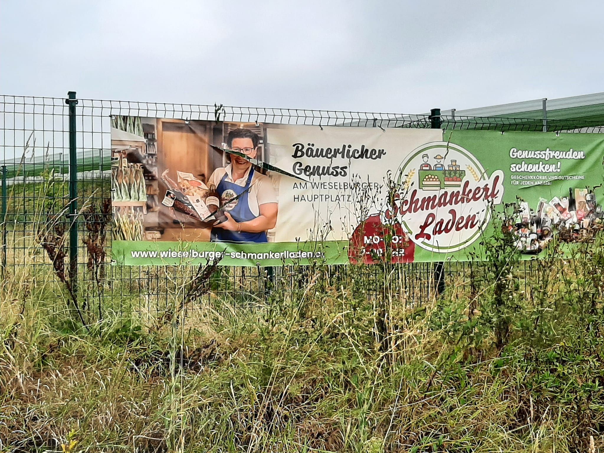 Besitzerin ist über den Vandalismus verärgert.