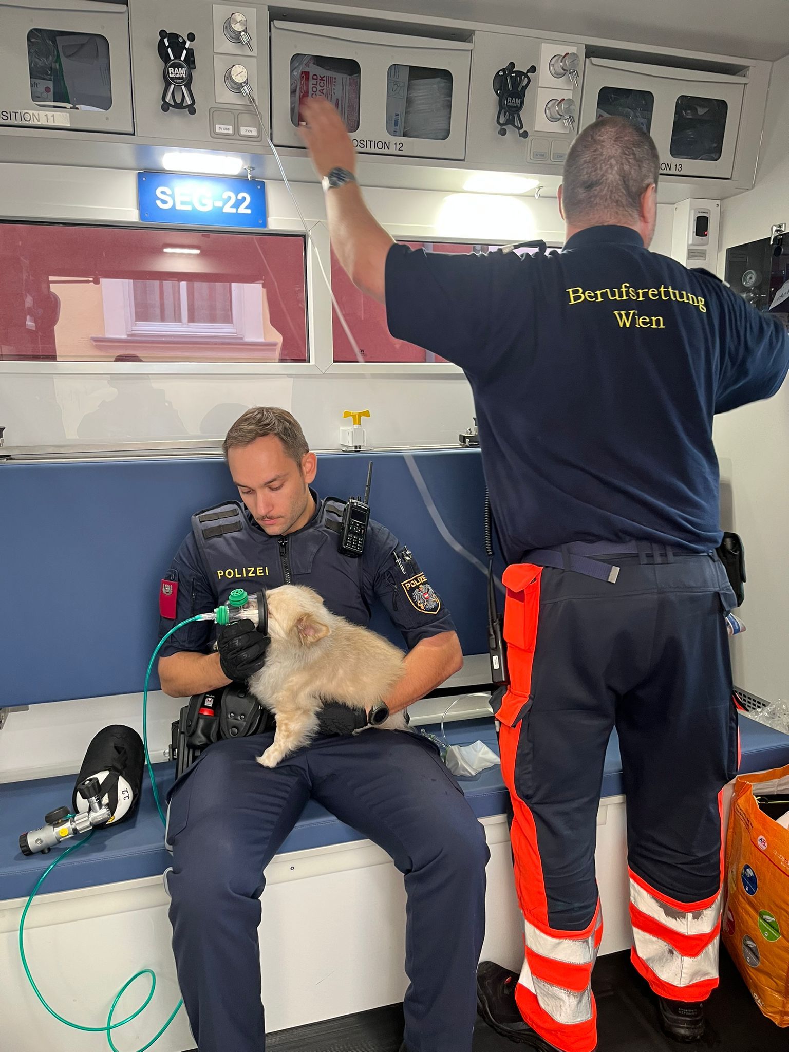 Nach einem Brand in Liesing hatte der Hund des Wohnungsbesitzers zu viel Rauchgas eingeatmet. Die Einsatzkräfte halfen mit einem Sauerstoffgerät.