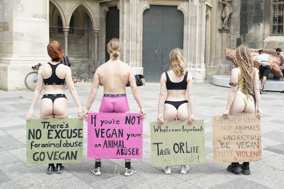Mehrere Aktivisten machten vor dem Wiener Stephansdom für vegane Ernährung Werbung.
