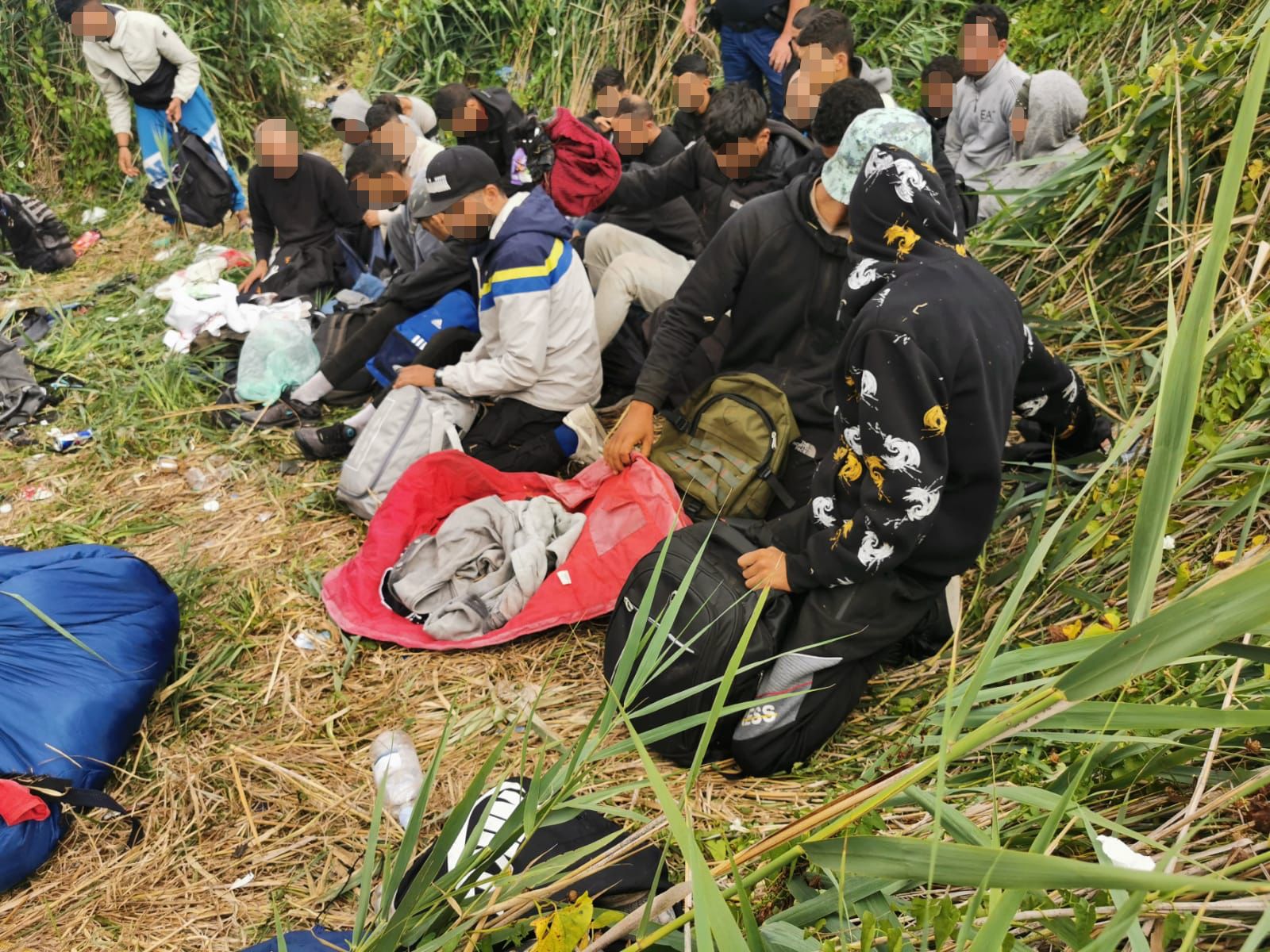 70 illegale Migranten wurden von einem Polizeihund aufgegriffen.