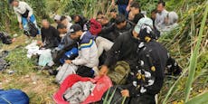 70 Migranten aufgespürt – Schlepper rast auf Beamtin zu