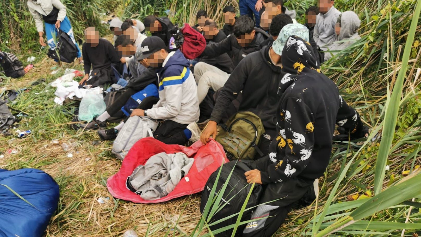 70 illegale Migranten wurden von einem Polizeihund aufgegriffen.