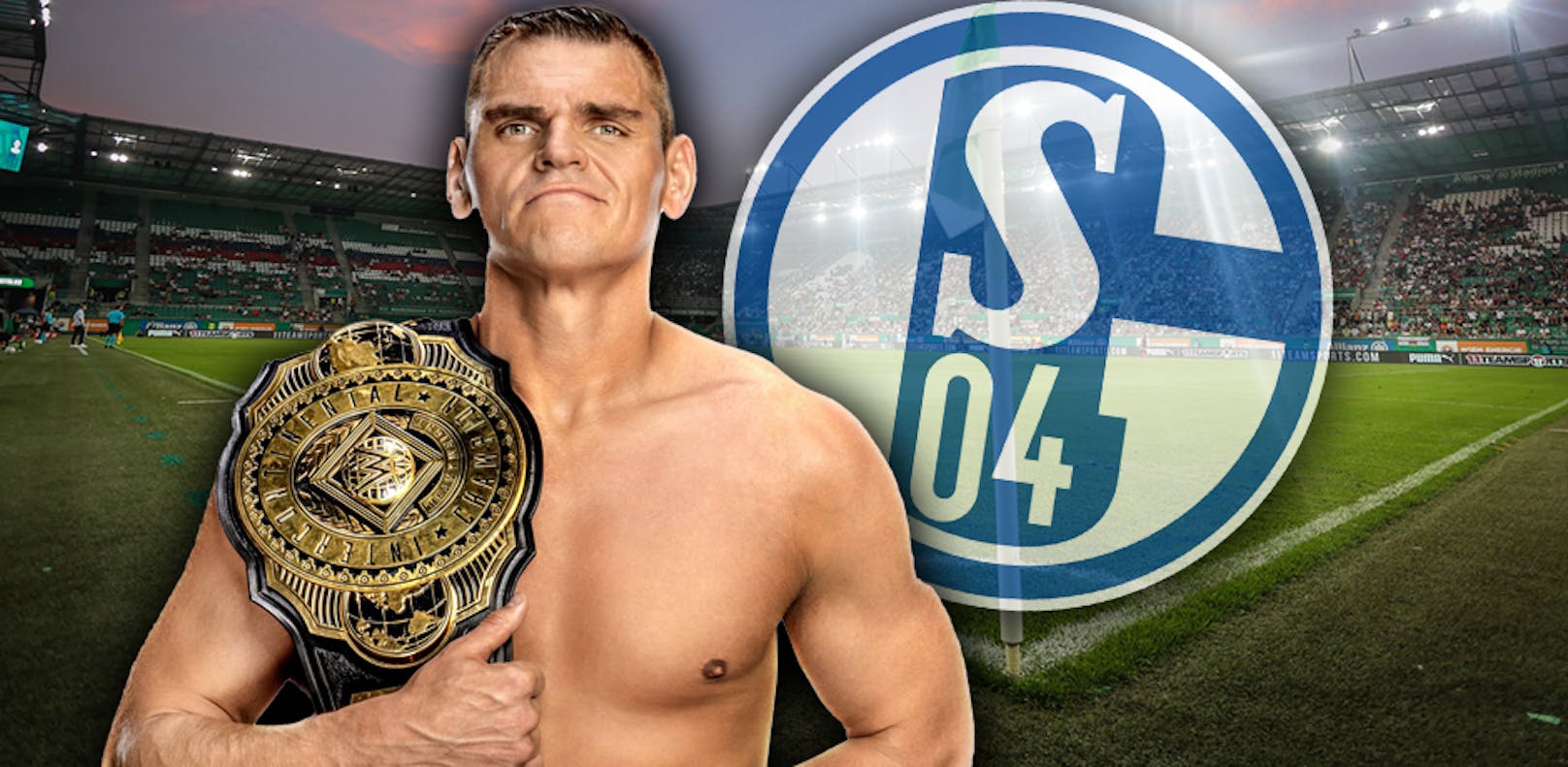 Gunther "wechselt" von Rapid zu Schalke