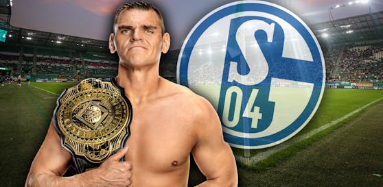 Gunther "wechselt" von Rapid zu Schalke