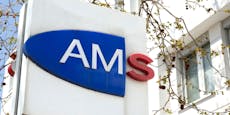 Mann bezog AMS-Geld illegal – rund 50.000 Euro Schaden