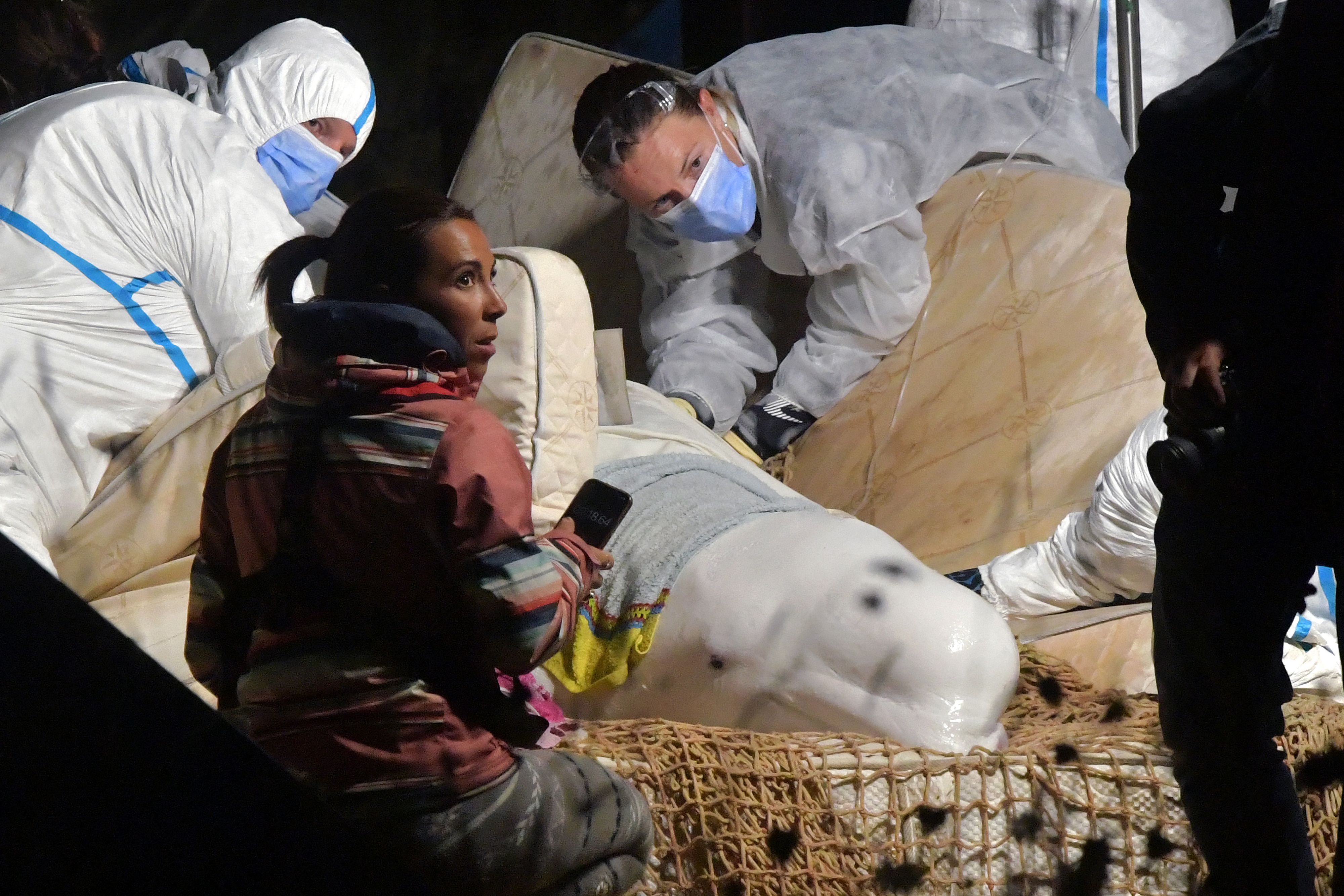 Download von www.picturedesk.com am 10.08.2022 (11:55).  TOPSHOT - Veterinarians take care of a beluga whale that was stranded in the River Seine at Notre Dame de la-Garenne, northern France, on August 9, 2022. - French marine experts launched an ambitious operation on August 9 to rescue an ailing beluga whale that swam up the Seine river, to return it to the sea. The four-metre (13-foot) cetacean, a protected species usually found in cold Arctic waters, was spotted a week ago heading towards Paris, and is now some 130 kilometres inland. (Photo by JEAN-FRANCOIS MONIER / AFP) - 20220809_PD10875 - Rechteinfo: Rights Managed (RM) Nur für redaktionelle Nutzung! Werbliche Nutzung erfordert Freigabe: bitte schicken Sie uns eine Anfrage.