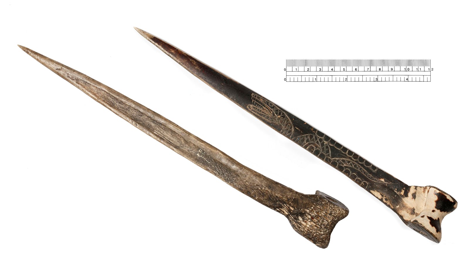 Urvölker fertigten Messer aus den Schienbeinknochen der Kasuare.